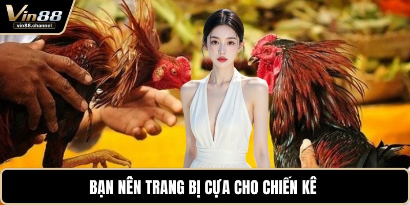 Bạn nên trang bị cựa cho chiến kê 