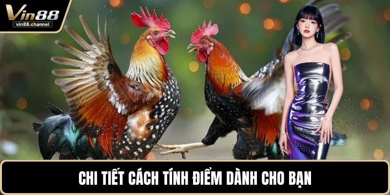Chi tiết cách tính điểm dành cho bạn