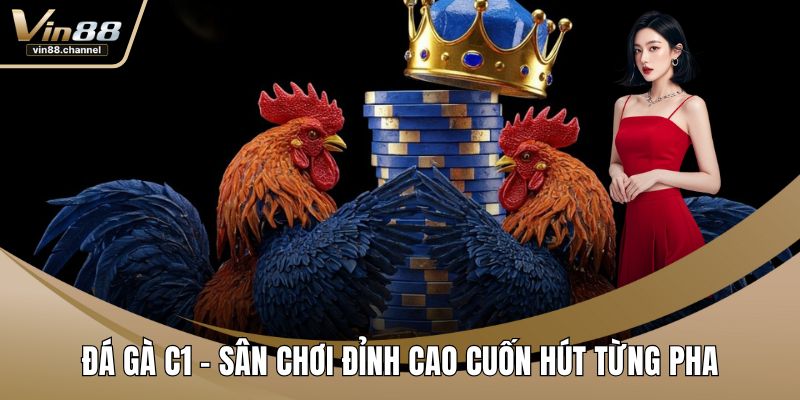 Đá Gà C1