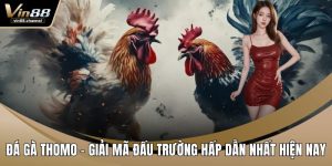 Đá Gà Thomo