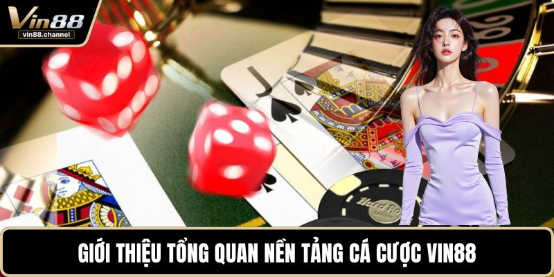 Giới thiệu tổng quan nền tảng cá cược VIN88