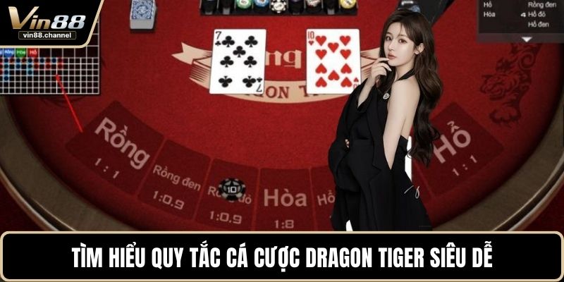 Tìm hiểu quy tắc cá cược Dragon Tiger siêu dễ